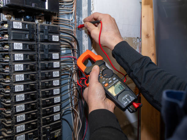 Best Electric Panel Repair  in Lakeside, TX